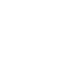 Lifelong Project Division